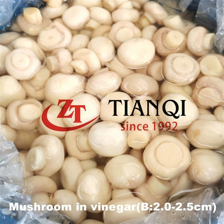 Wholesale mushroom in vinegar in drum Wholesale mushroom in vinegar in drum