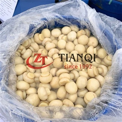 Büyük fıçılarda tuzlu champignon mantarı