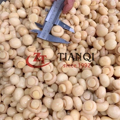 Tamburda salamura tuzlu şampanya mantarı 48kg